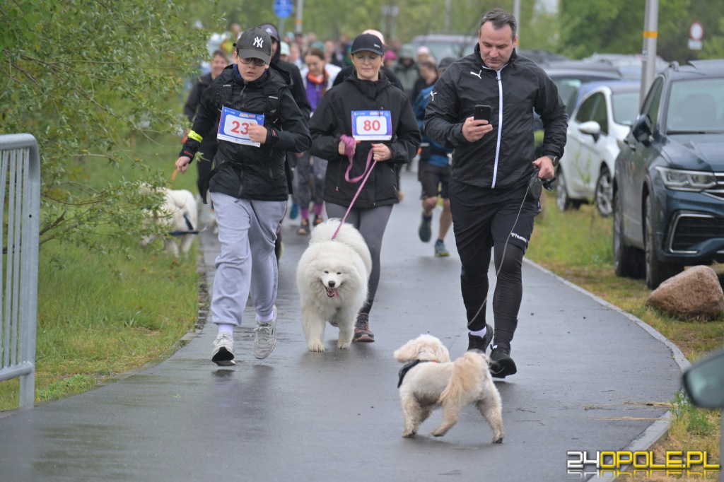 Rodzinny Dogtrekking 2026