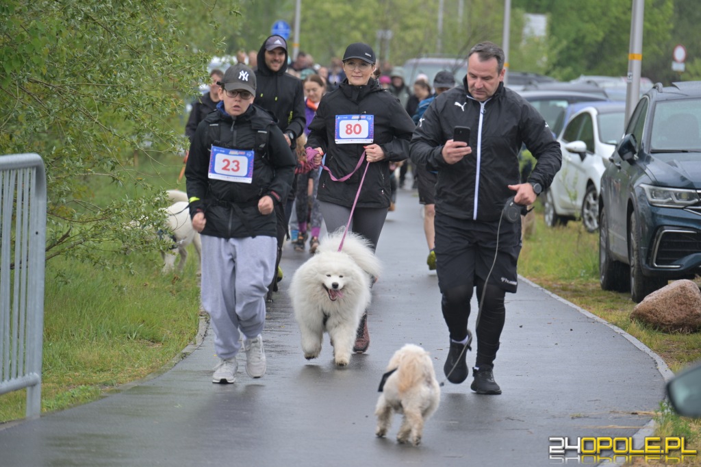 Rodzinny Dogtrekking 2026