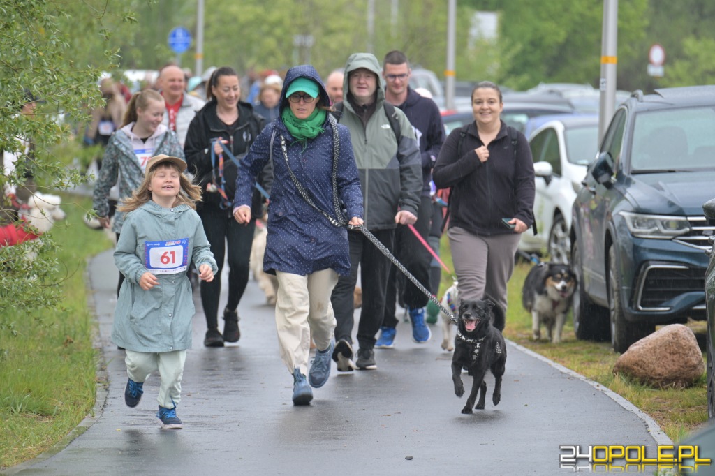 Rodzinny Dogtrekking 2026