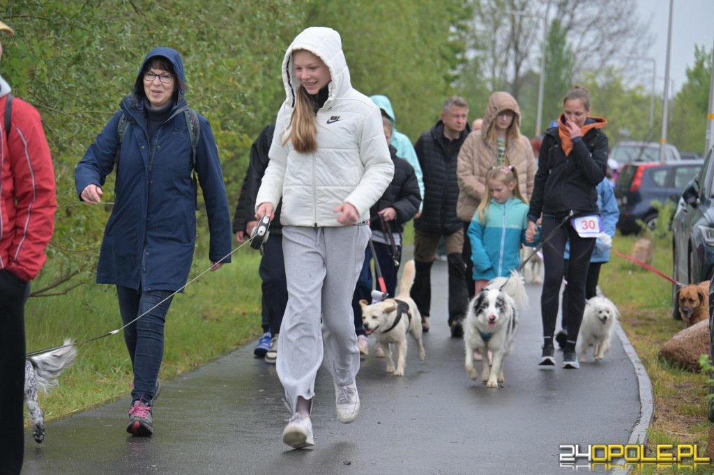 Rodzinny Dogtrekking 2026