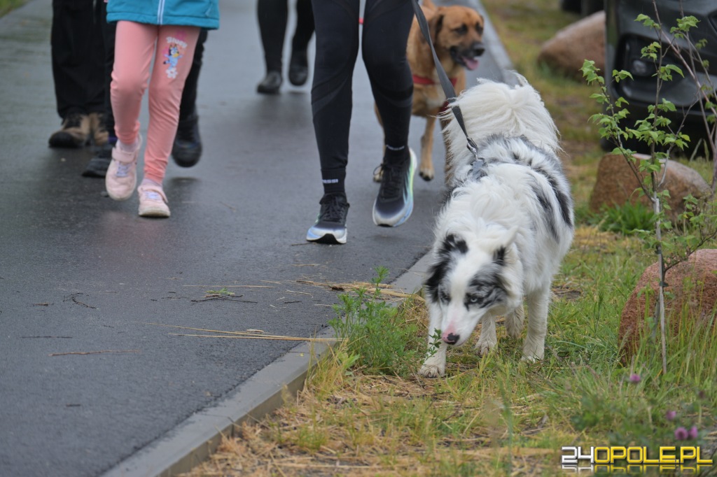 Rodzinny Dogtrekking 2026