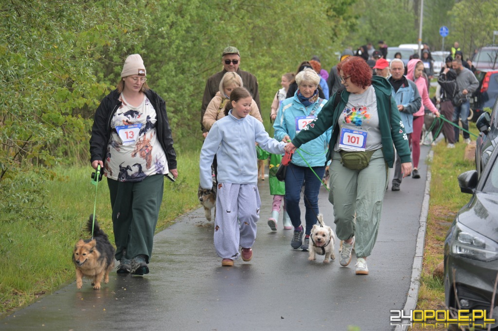 Rodzinny Dogtrekking 2026