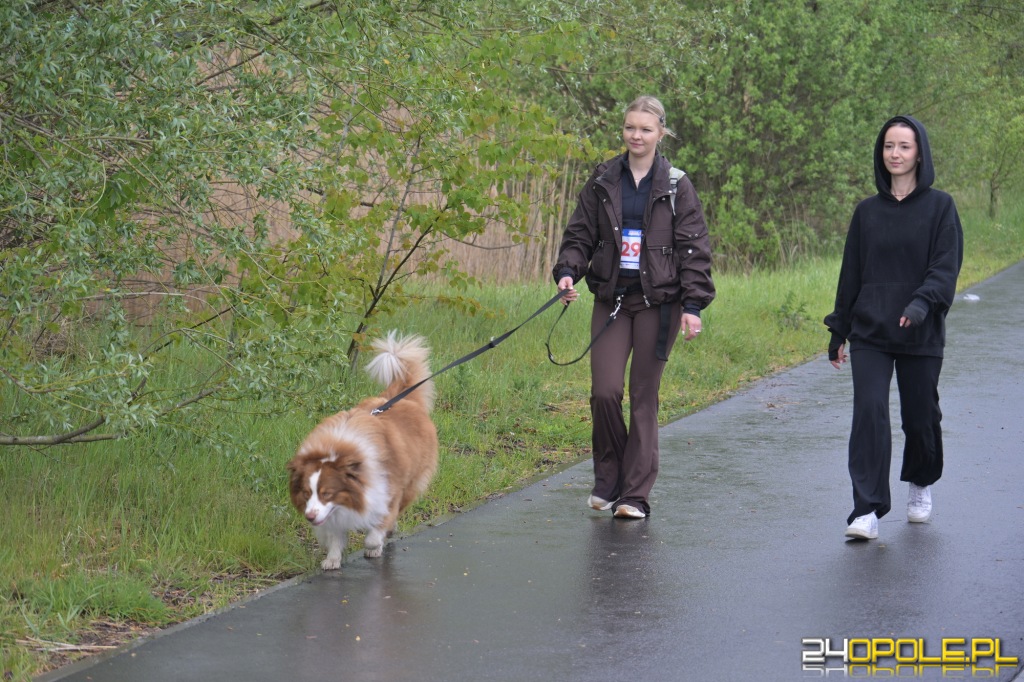 Rodzinny Dogtrekking 2026
