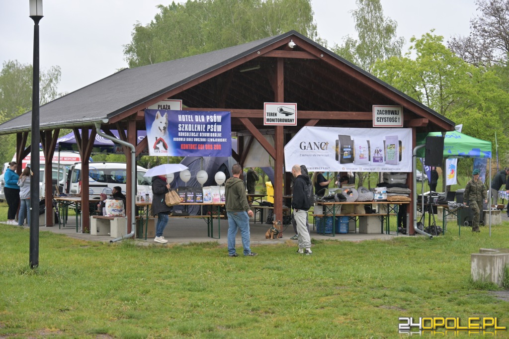 Rodzinny Dogtrekking 2026