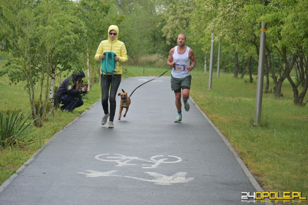 Rodzinny Dogtrekking 2026