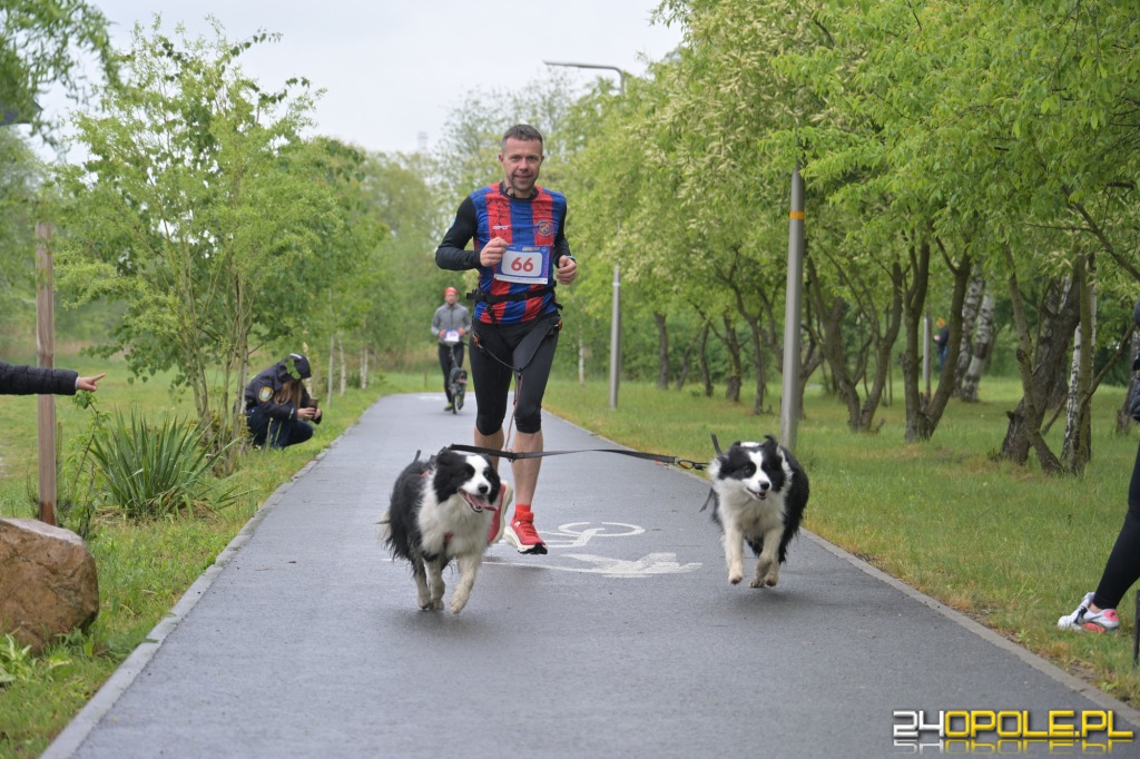 Rodzinny Dogtrekking 2026