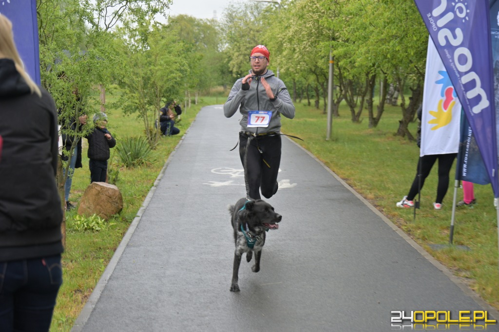 Rodzinny Dogtrekking 2026