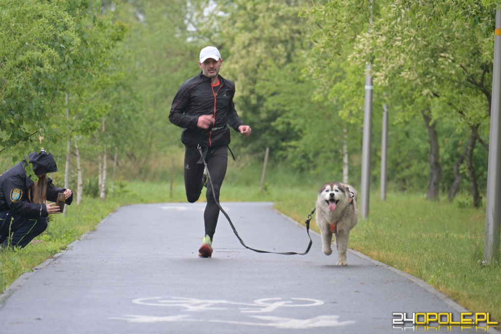 Rodzinny Dogtrekking 2026