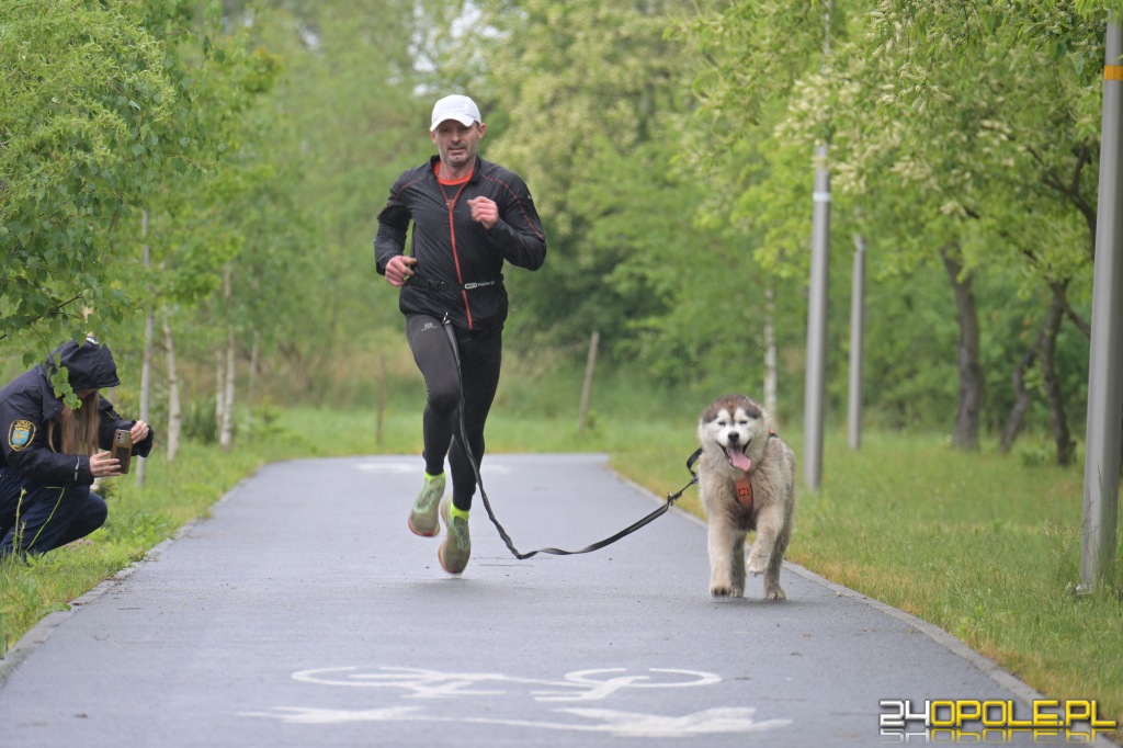Rodzinny Dogtrekking 2026