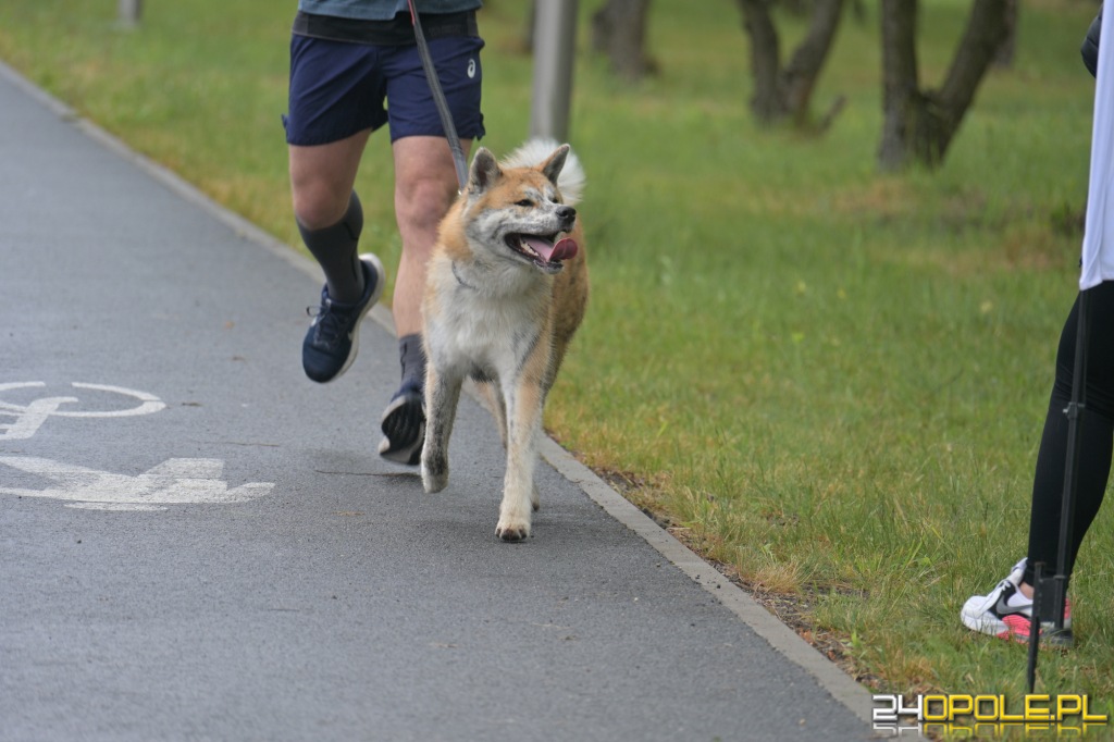 Rodzinny Dogtrekking 2026