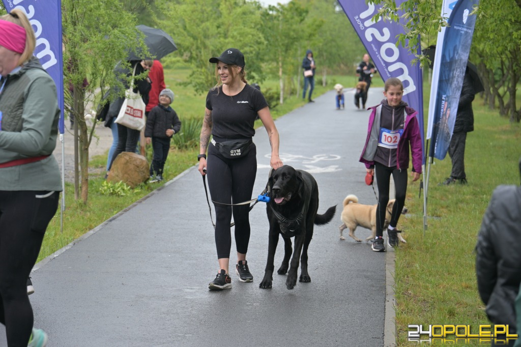 Rodzinny Dogtrekking 2026