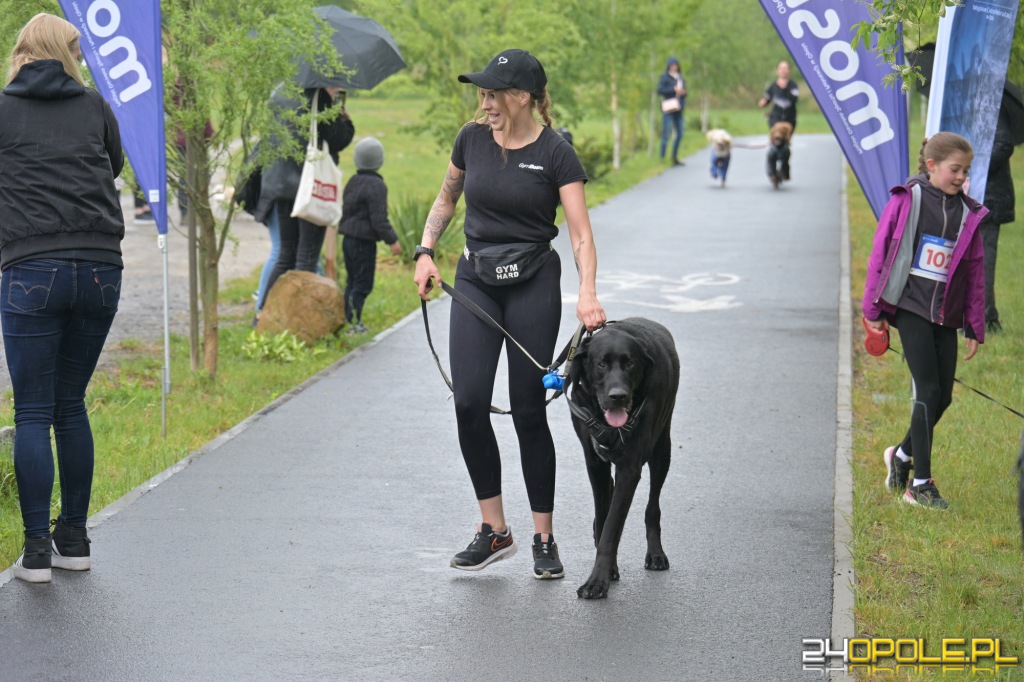 Rodzinny Dogtrekking 2026