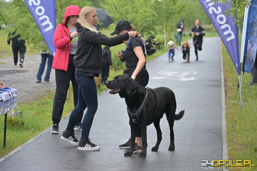 Rodzinny Dogtrekking 2026