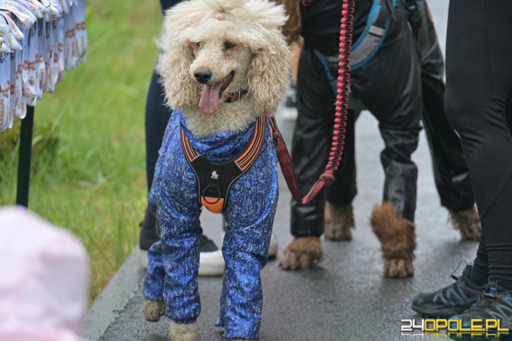 Rodzinny Dogtrekking 2026