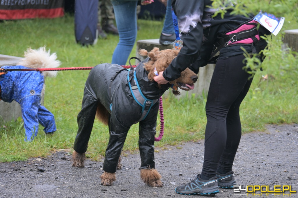 Rodzinny Dogtrekking 2026