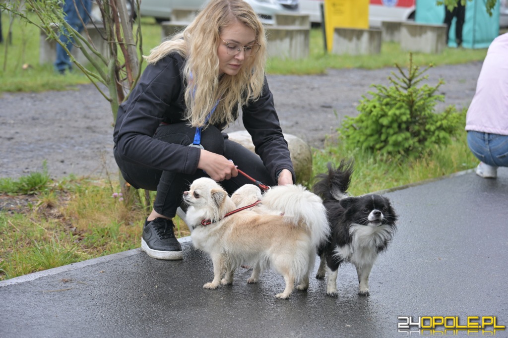 Rodzinny Dogtrekking 2026