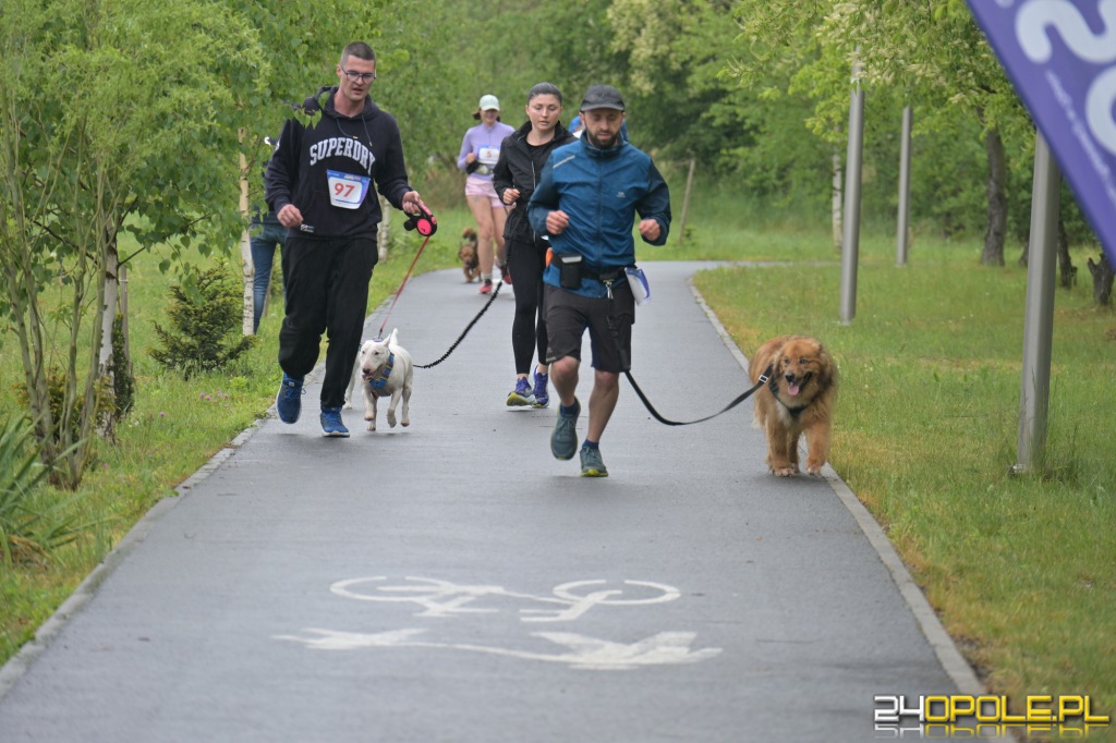 Rodzinny Dogtrekking 2026