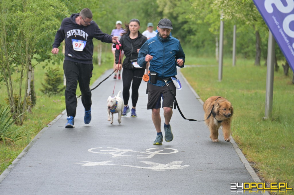 Rodzinny Dogtrekking 2026