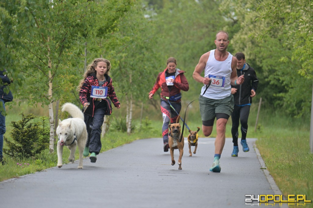Rodzinny Dogtrekking 2026