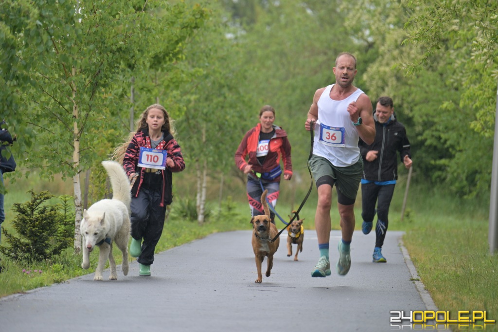 Rodzinny Dogtrekking 2026