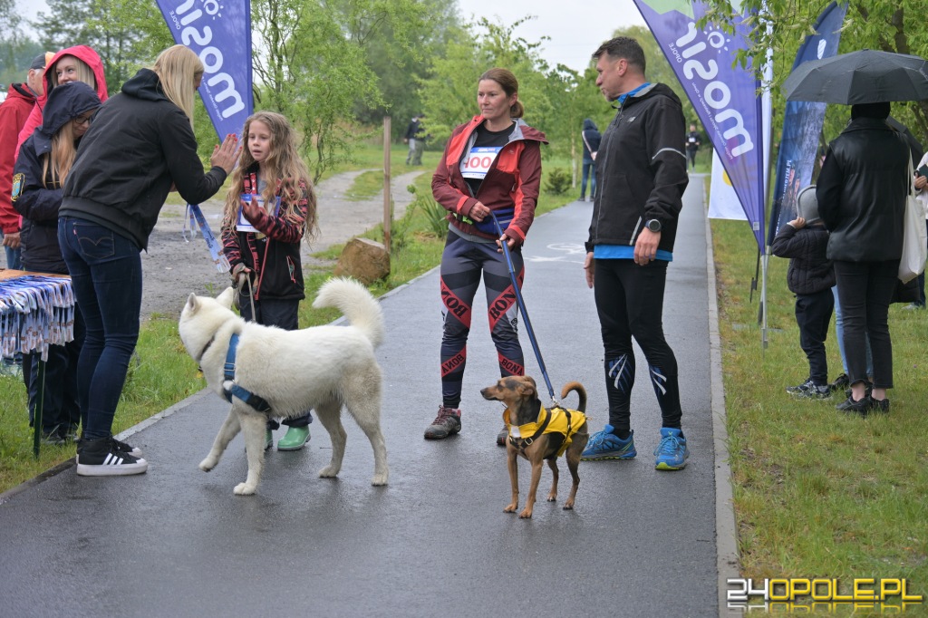 Rodzinny Dogtrekking 2026