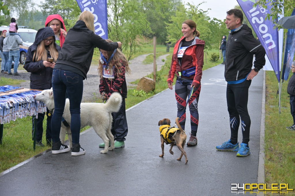 Rodzinny Dogtrekking 2026