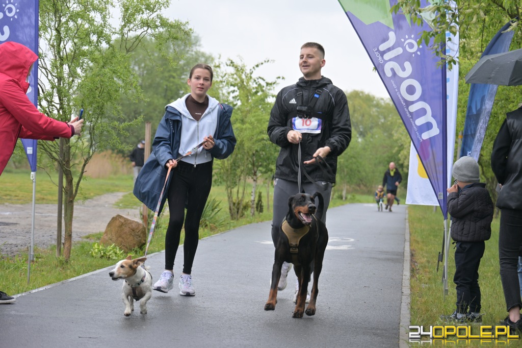 Rodzinny Dogtrekking 2026