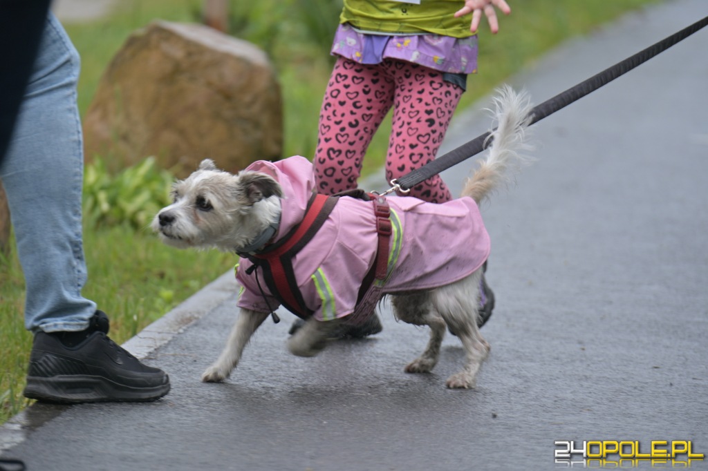 Rodzinny Dogtrekking 2026