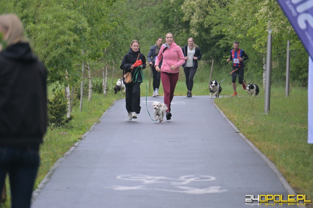 Rodzinny Dogtrekking 2026