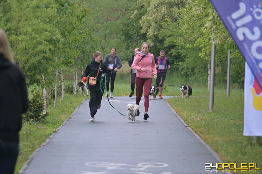 Rodzinny Dogtrekking 2026