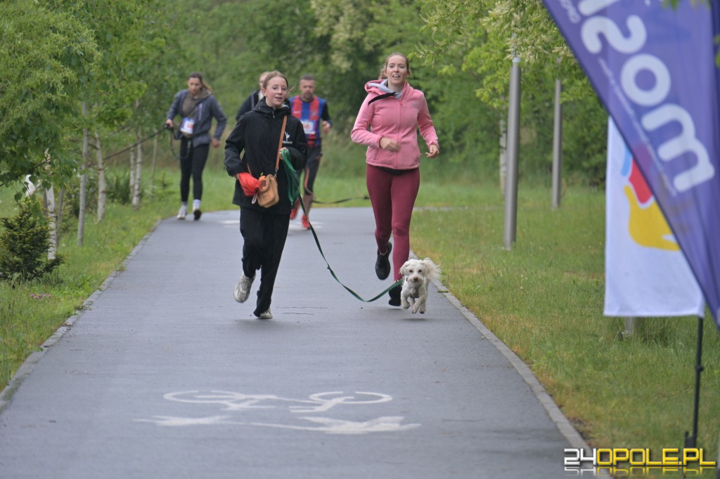 Rodzinny Dogtrekking 2026