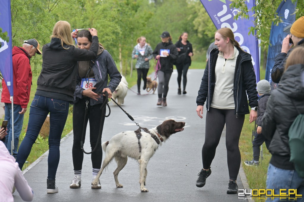 Rodzinny Dogtrekking 2026