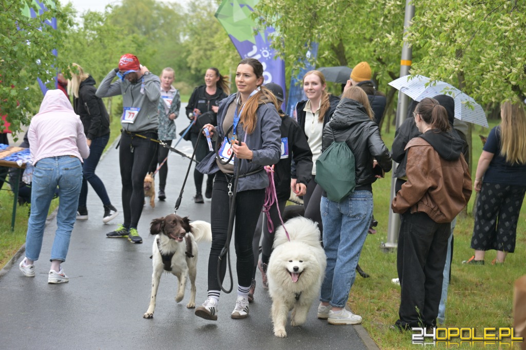 Rodzinny Dogtrekking 2026