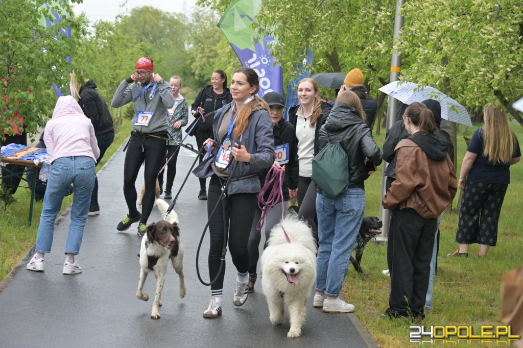 Rodzinny Dogtrekking 2026