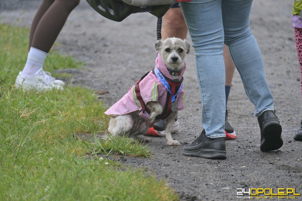 Rodzinny Dogtrekking 2026