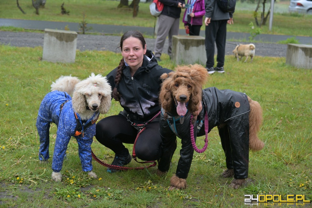 Rodzinny Dogtrekking 2026