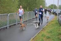Rodzinny Dogtrekking 2026