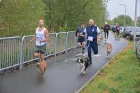Rodzinny Dogtrekking 2026
