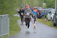Rodzinny Dogtrekking 2026