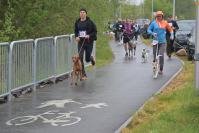 Rodzinny Dogtrekking 2026