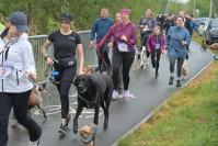 Rodzinny Dogtrekking 2026