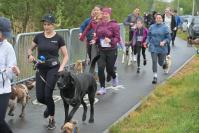 Rodzinny Dogtrekking 2026