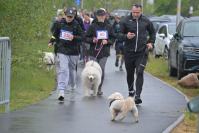 Rodzinny Dogtrekking 2026