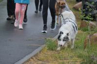 Rodzinny Dogtrekking 2026