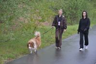 Rodzinny Dogtrekking 2026