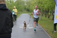 Rodzinny Dogtrekking 2026