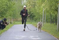 Rodzinny Dogtrekking 2026