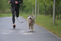 Rodzinny Dogtrekking 2026