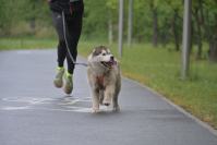 Rodzinny Dogtrekking 2026