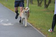 Rodzinny Dogtrekking 2026